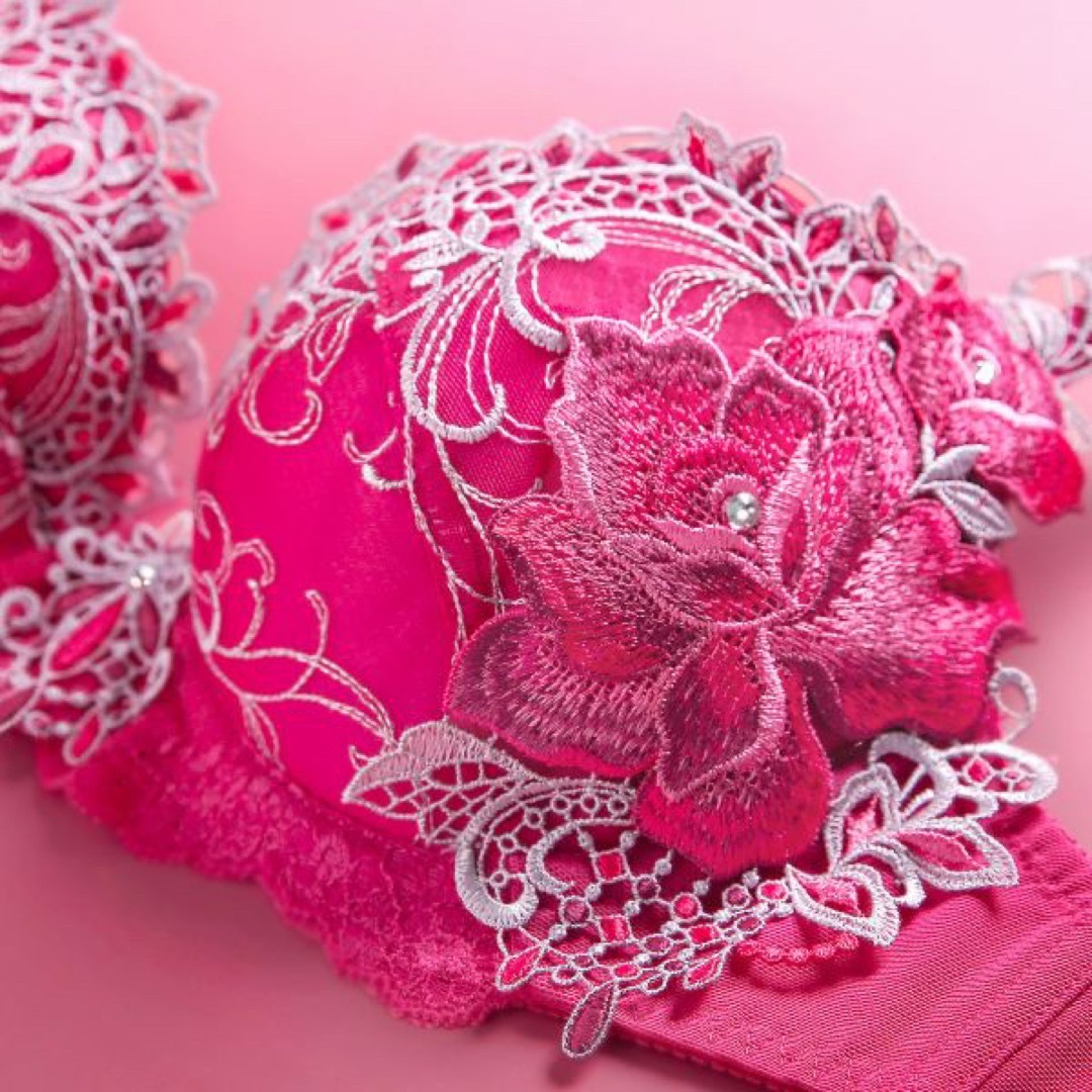 豪華絢爛♡ベルローズ刺繍ブラジャー&Tバック、新品未使用タグ付き(ネイビー)