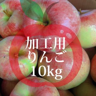 【産地直送】青森県産りんご  加工用  10kg(フルーツ)