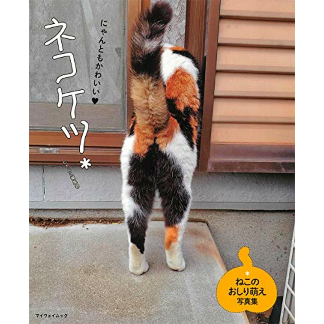 【中古】ネコケツ*(マイウェイムック)/にゃんこ編集部 (編集)/マイウェイ出版 エンタメ/ホビーの本(その他)の商品写真