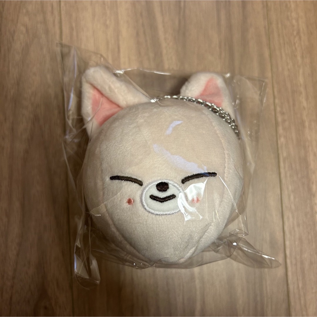 straykids skzoo アイエン ぬいぐるみ　ラゲッジタグ