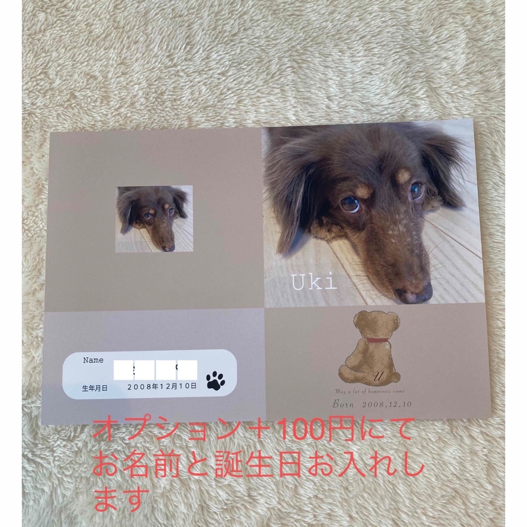 写真入りオーダーカバー　愛犬健康手帳カバー　オリジナルカバー　ペット写真 ハンドメイドのペット(おもちゃ/ペット小物)の商品写真