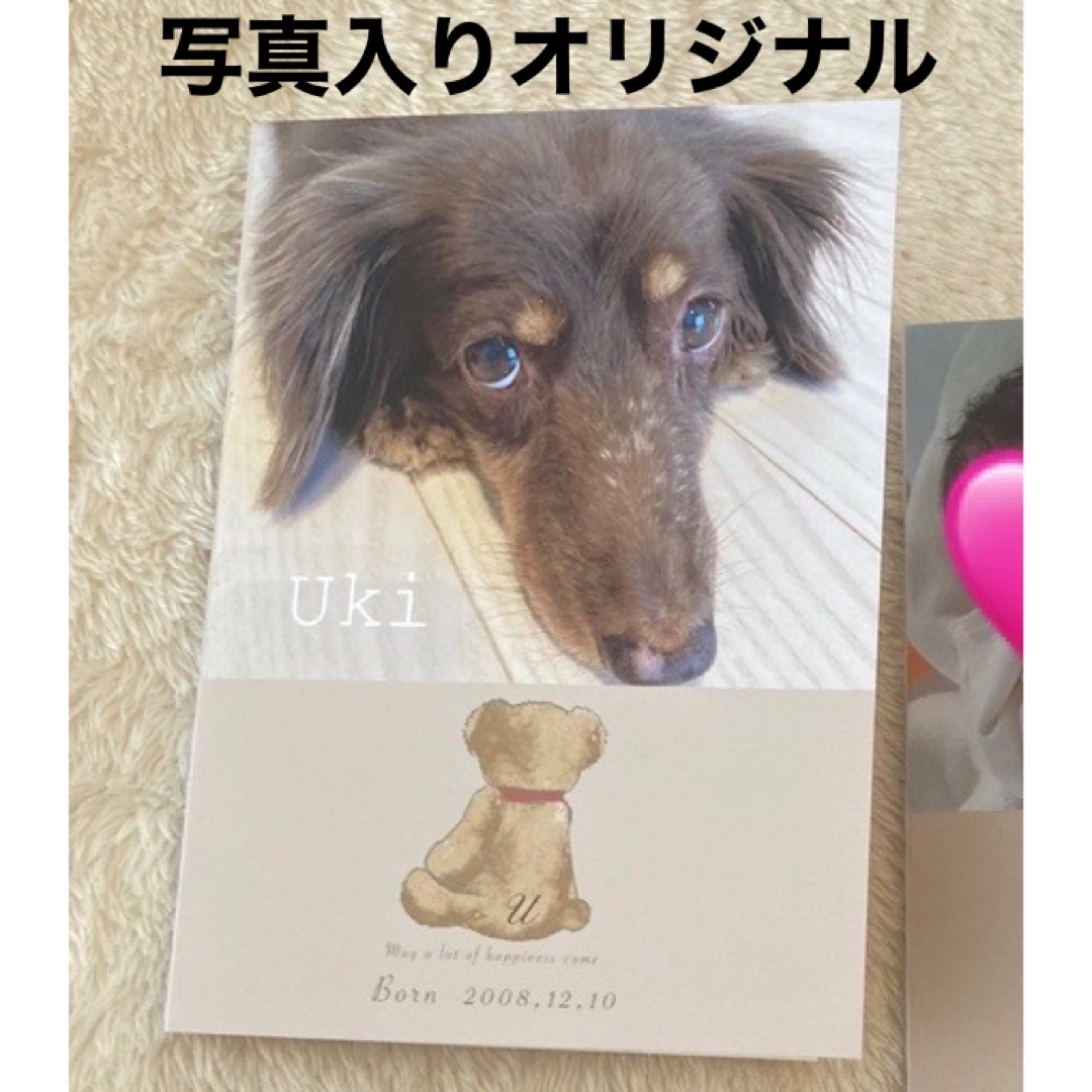 写真入りオーダーカバー　愛犬健康手帳カバー　オリジナルカバー　ペット写真 ハンドメイドのペット(おもちゃ/ペット小物)の商品写真