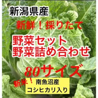 10/4迄！新鮮採りたて南魚沼産コシヒカリ入り！新潟県産　野菜セット　80サイズ(野菜)