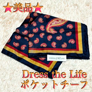 【美品】Dress the Life メンズ ポケットチーフ 紳士服 匿名配送(ハンカチ/ポケットチーフ)