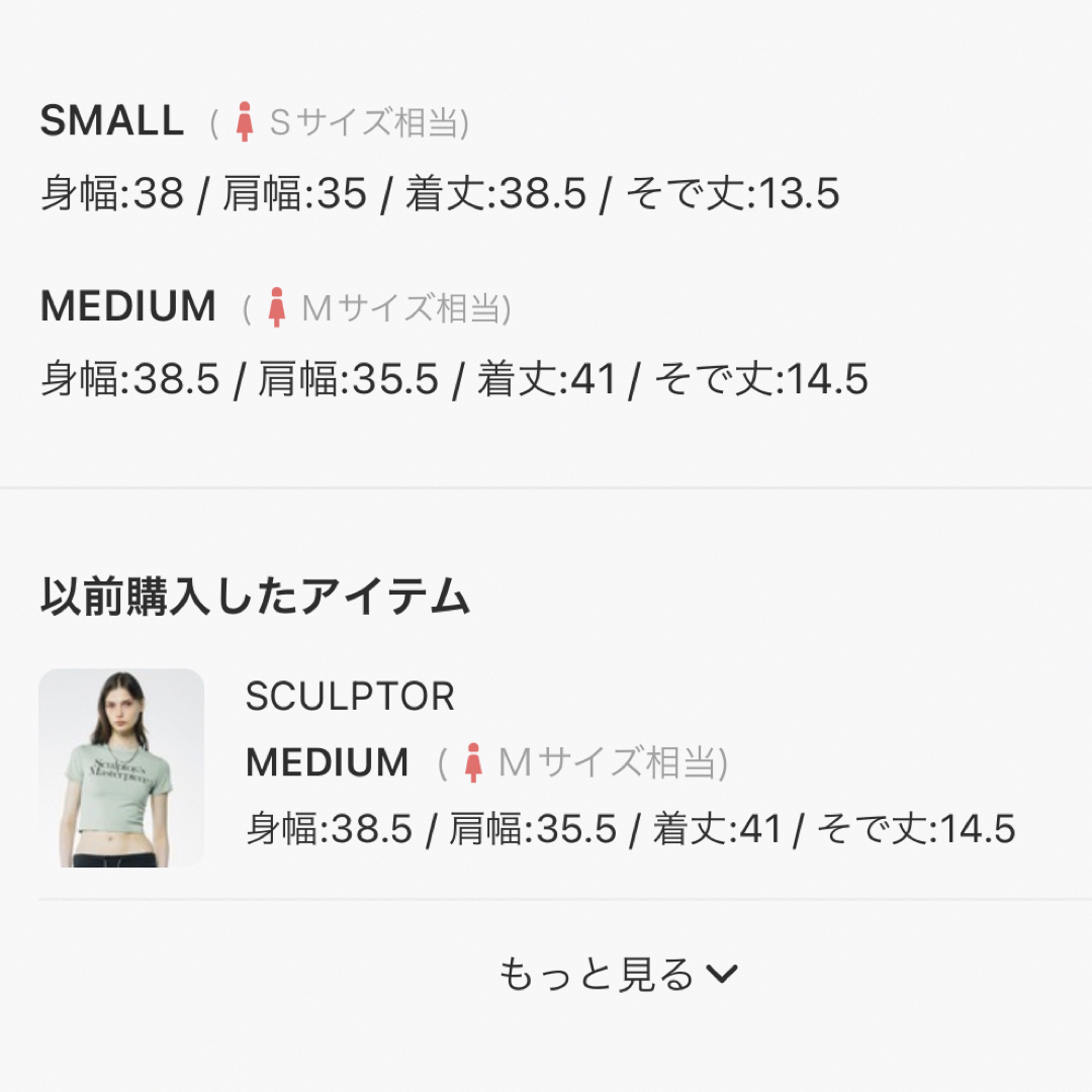 Sculptor トップス レディースのトップス(Tシャツ(半袖/袖なし))の商品写真