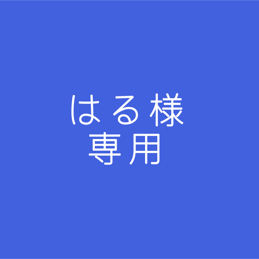 ワイテルズ　専用 エンタメ/ホビーのおもちゃ/ぬいぐるみ(キャラクターグッズ)の商品写真