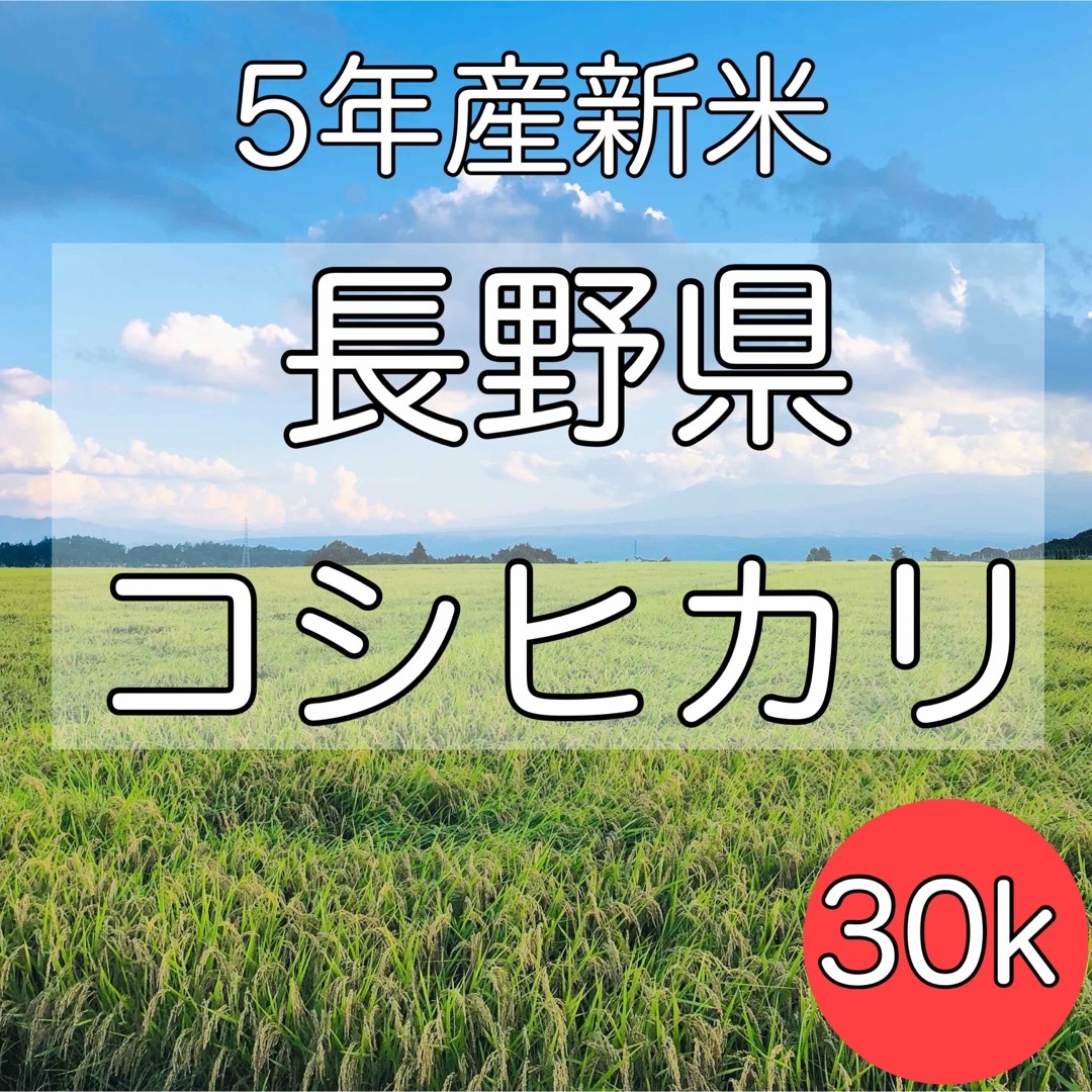 令和5年産】長野県コシヒカリ30キロ白米　米/穀物
