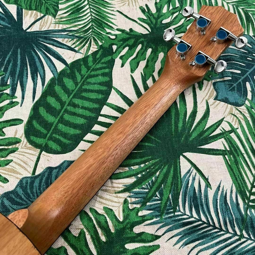 【music ukulele】アカシアコアのエレキ・テナーウクレレ【入門セット】