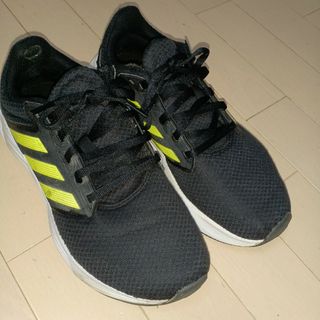 特売　adidas シューズ25.0cm(スニーカー)