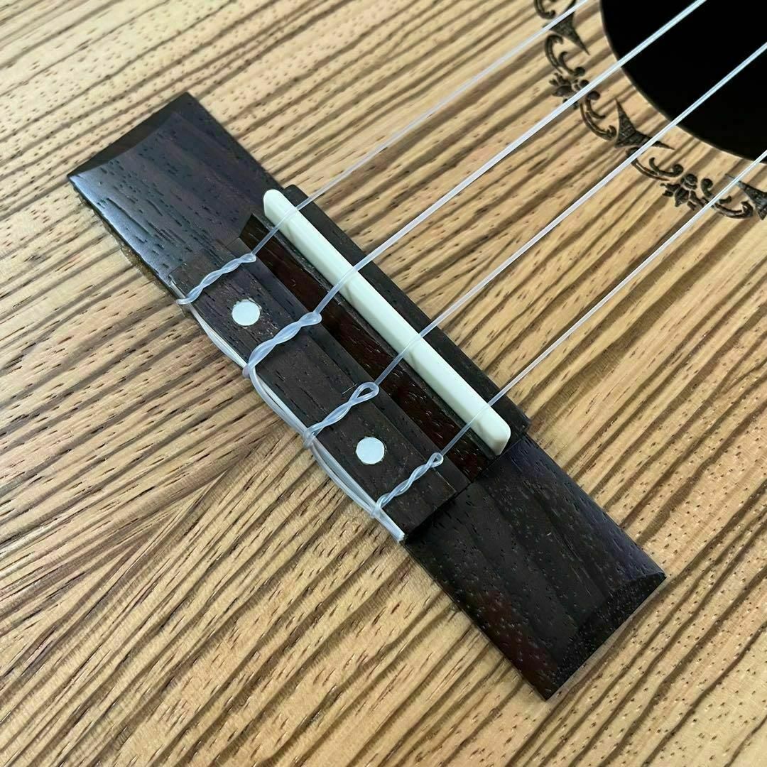 music ukulele】ゼブラウッドのエレキ・テナーウクレレ【入門セット
