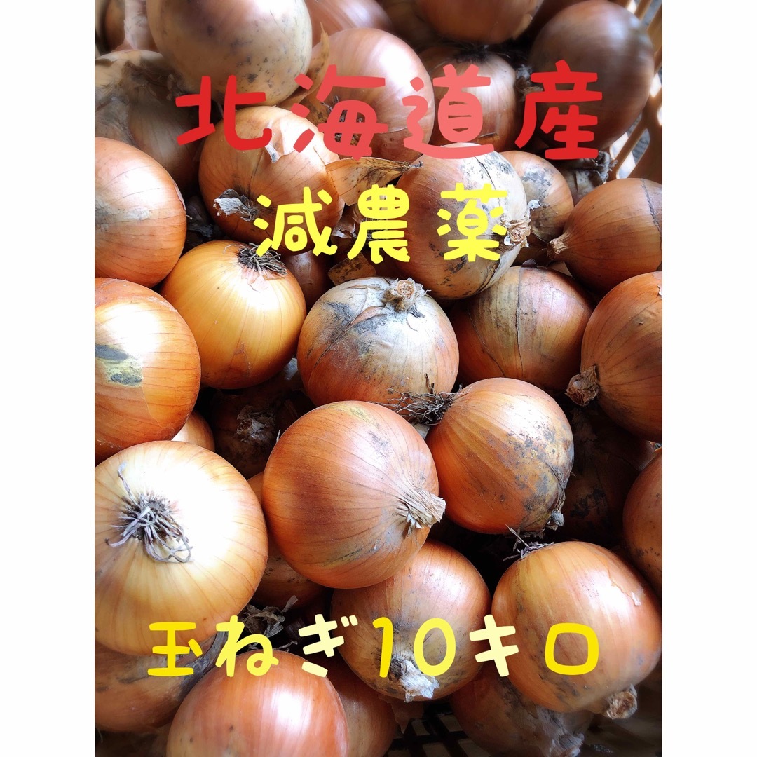 北海道産 農家直送 玉ねぎ10キロ 食品/飲料/酒の食品(野菜)の商品写真