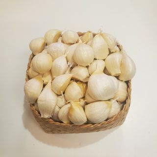 【種可】令和5年度　青森県産　１.5kg　にんにく福地ホワイト六片(野菜)