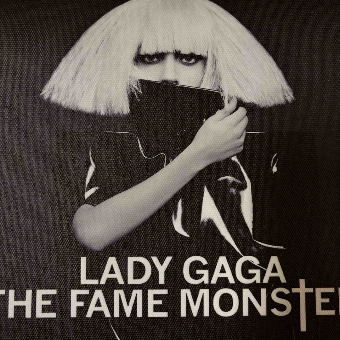 【額付きポスター】レディー・ガガ the fame monster
