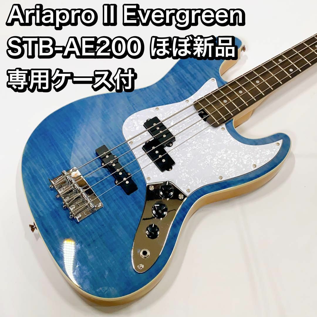 Ariapro II Evergreen STB-AE200 ほぼ新品 ケース | フリマアプリ ラクマ