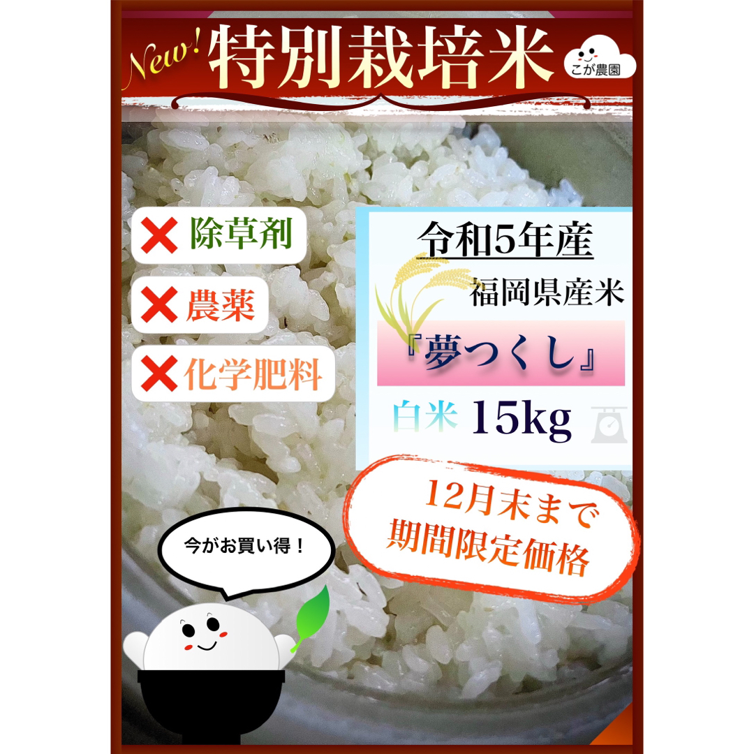 精白米15kg　準自然米　福岡県産「夢つくし」令和５年産　米/穀物