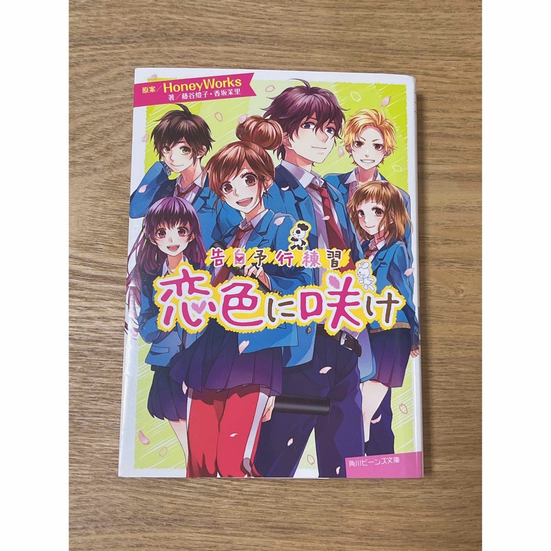 角川書店(カドカワショテン)のHoneyWorks　小説　5冊セット 　藤谷燈子 【バラ売り◎】 エンタメ/ホビーの本(文学/小説)の商品写真