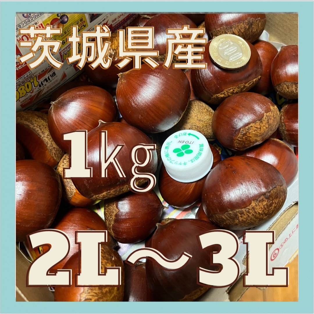 【茨城県産】笠間の栗　生栗　1キロ　2L〜3Lサイズ 食品/飲料/酒の食品(フルーツ)の商品写真