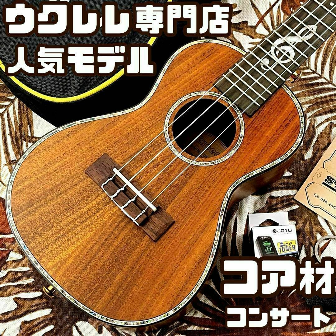 【Acoway ukulele】カナダ産フレイムメイプルのエレキ・ウクレレ