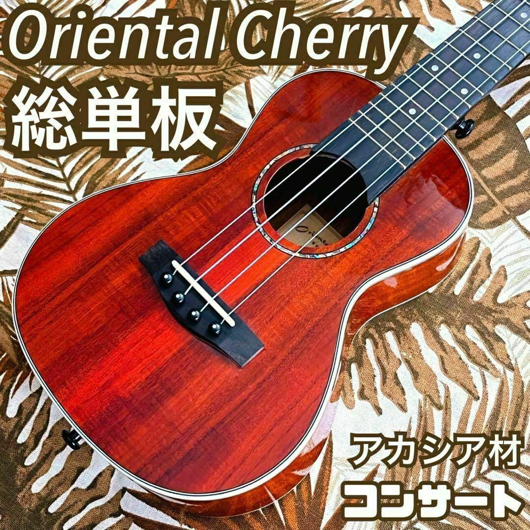 【oriental Cherry】アカシア単板のコンサートウクレレ【UK専門店】