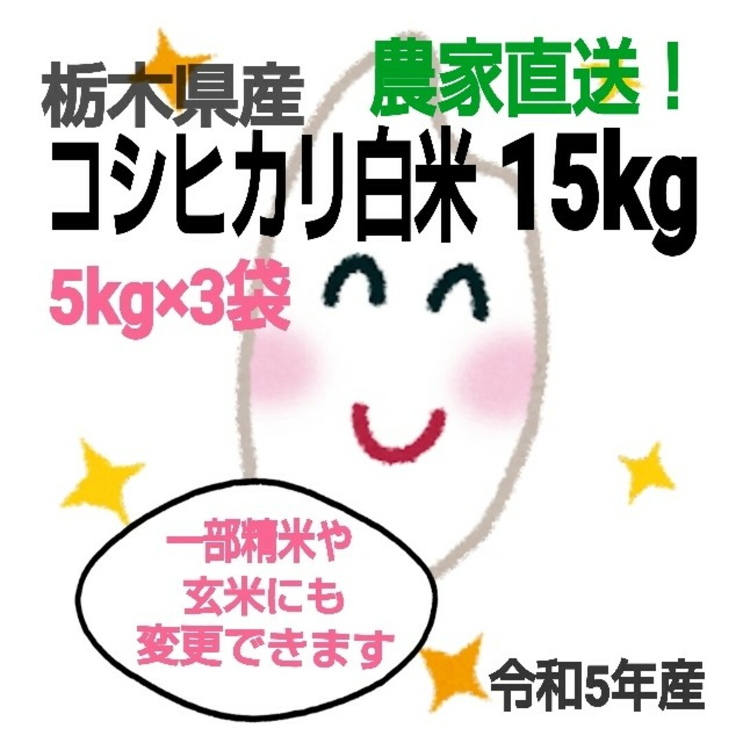 令和5年　15kg(5kg×3袋)☆白米】　米/穀物　新米　栃木県産コシヒカリ