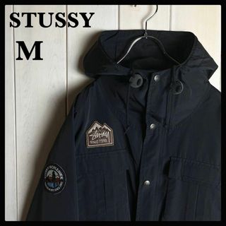 ステューシーGORE-TEX® Mountain Parka 希少Sサイズ