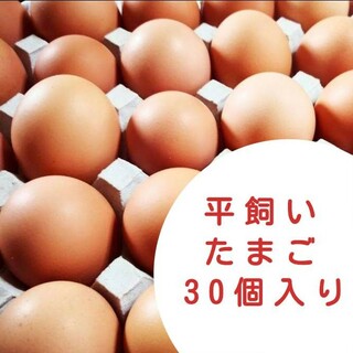 平飼い卵　10個入り3パック　国産もみじの卵　新鮮　産みたて(野菜)