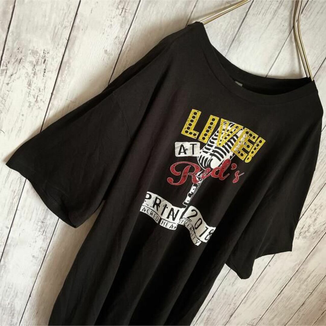 【美品⭐︎ステューシー】黒 ゆるダボ L 両面プリント 半袖 tシャツ
