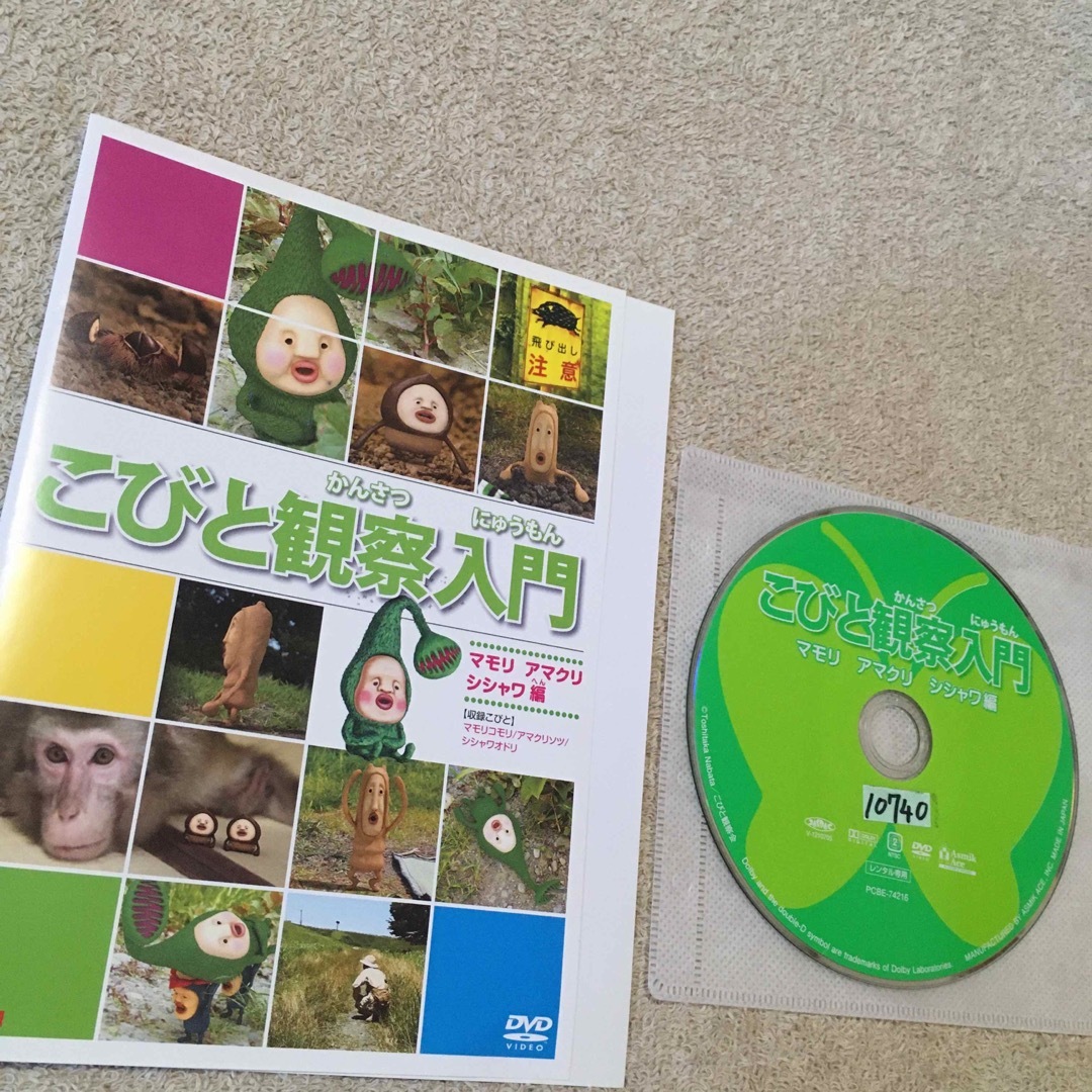 正規取扱品 こびと観察入門 DVD10枚セット - DVD 正規取扱品 こびと観察入門 DVD10枚セット - DVD