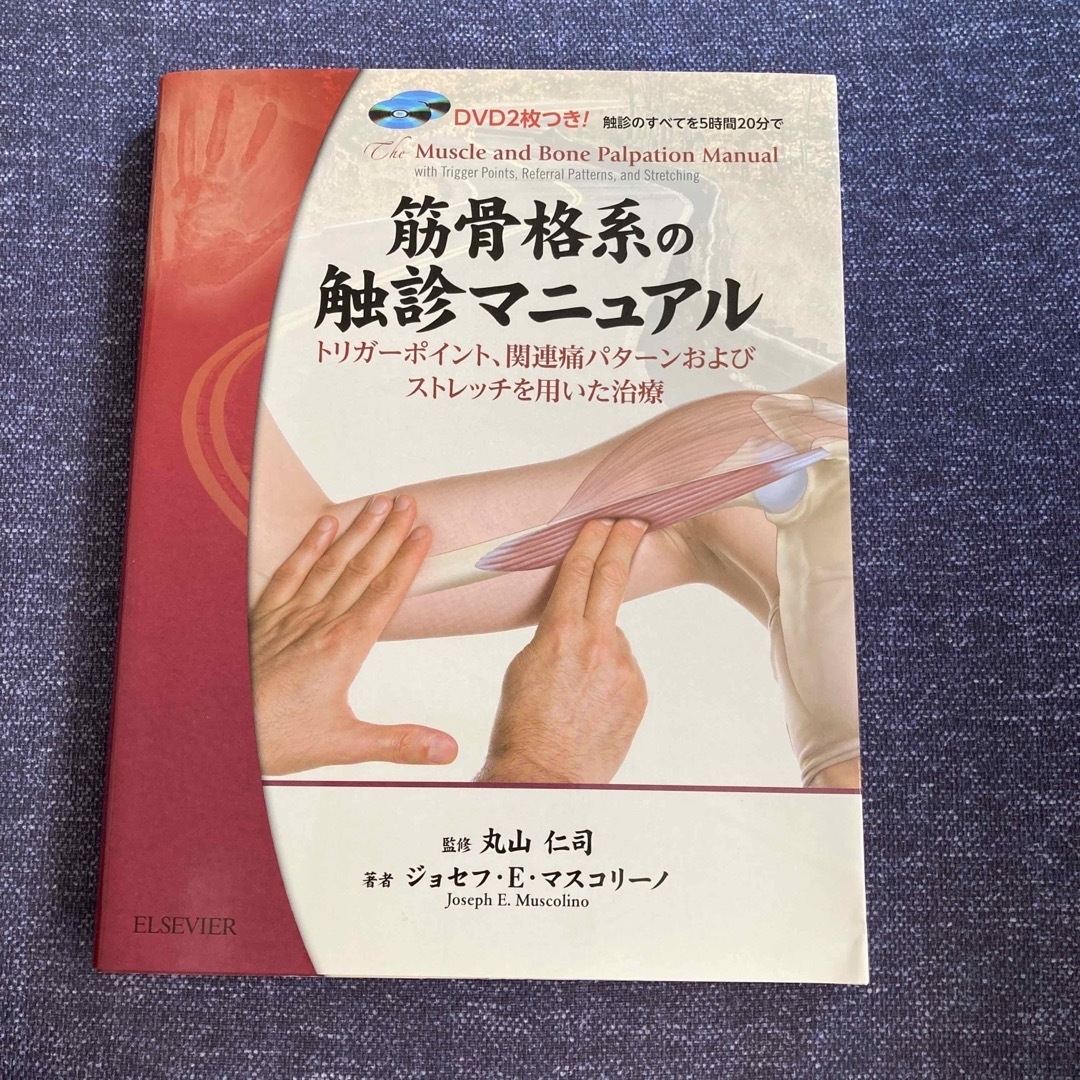 筋骨格系の触診マニュアル トリガ－ポイント、関連痛パタ－ンおよびストレッチを