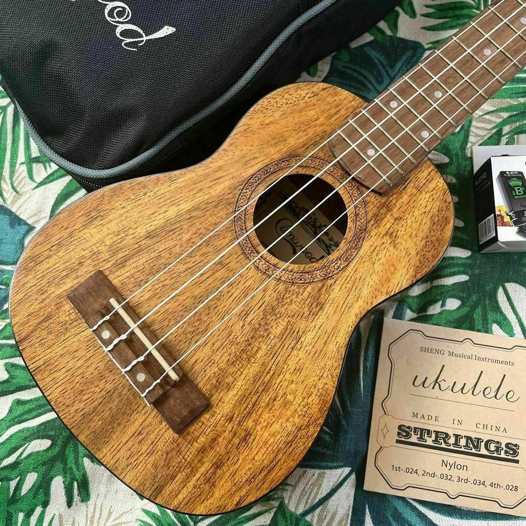 【camwood ukulele】チーク材のエレキ・ソプラノウクレレ【セット付】 1