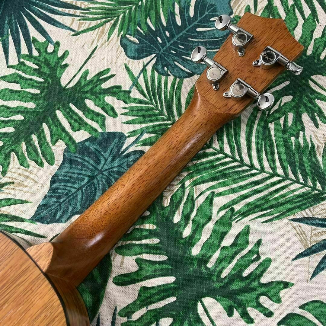 【camwood ukulele】チーク材のエレキ・ソプラノウクレレ【セット付】 7