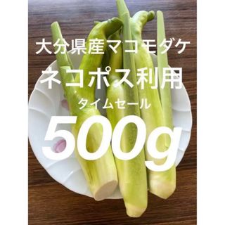 大分県産マコモダケ（マコモタケ　500g(野菜)