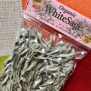 《箱配送！茎付き》 ホワイトセージ 50g  無農薬 カルフォルニア産(お香/香炉)