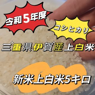 注文後に精米します！新米【令和5年産】三重県 伊賀米 コシヒカリ 5㎏(米/穀物)