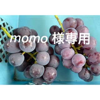 momo 様専用商品(その他)