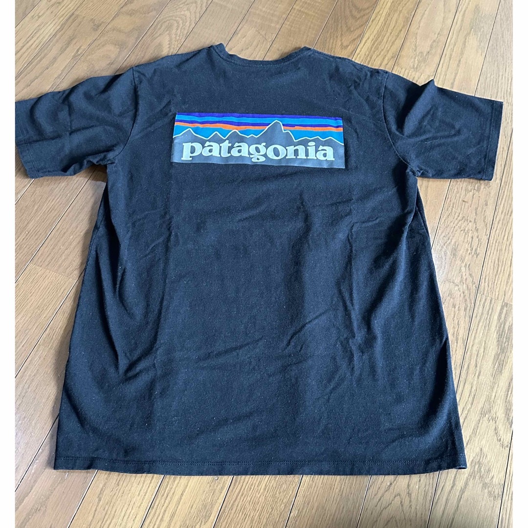 patagonia(パタゴニア)のPatagonia メンズのトップス(Tシャツ/カットソー(半袖/袖なし))の商品写真