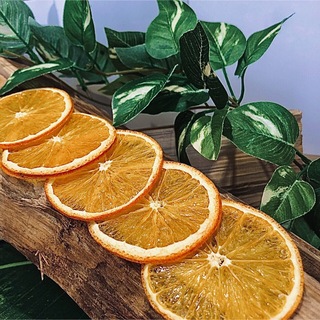 【最高品質】ドライオレンジ　５枚　ドライフルーツ　花材　素材(各種パーツ)