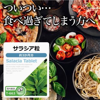 サラシア粒 サプリメント 約3か月分 ダイエット サラシノール 炭水化物ブロック(その他)