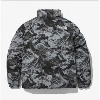 THE NORTH FACE - ノースフェイス ノベルティアスペン オンボール ...