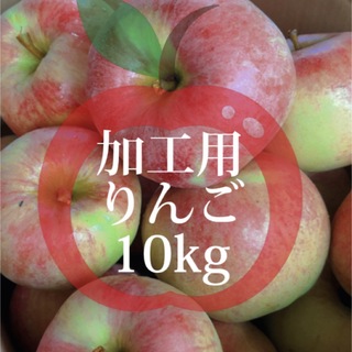 【産地直送】青森県産りんご  加工用  10kg(フルーツ)