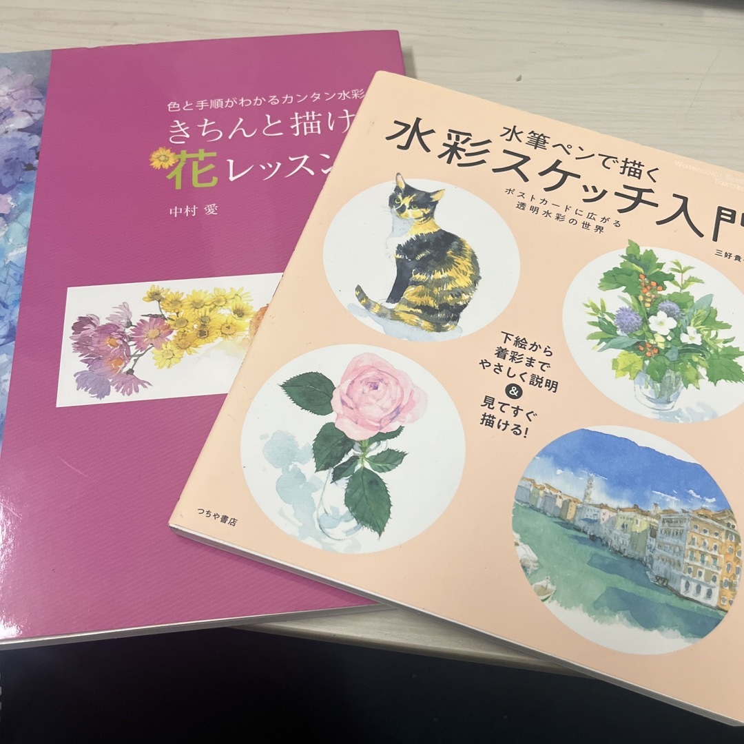 水彩画用　参考書 エンタメ/ホビーのアート用品(絵筆)の商品写真