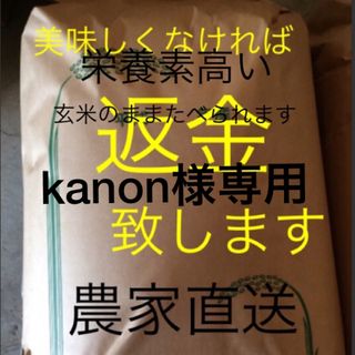 kanon様専用　新米無農薬純こしひかり30㎏ 玄米(米/穀物)