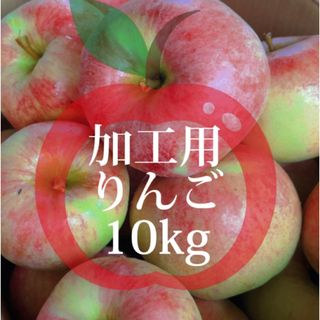 【産地直送】青森県産りんご  加工用  10kg(フルーツ)