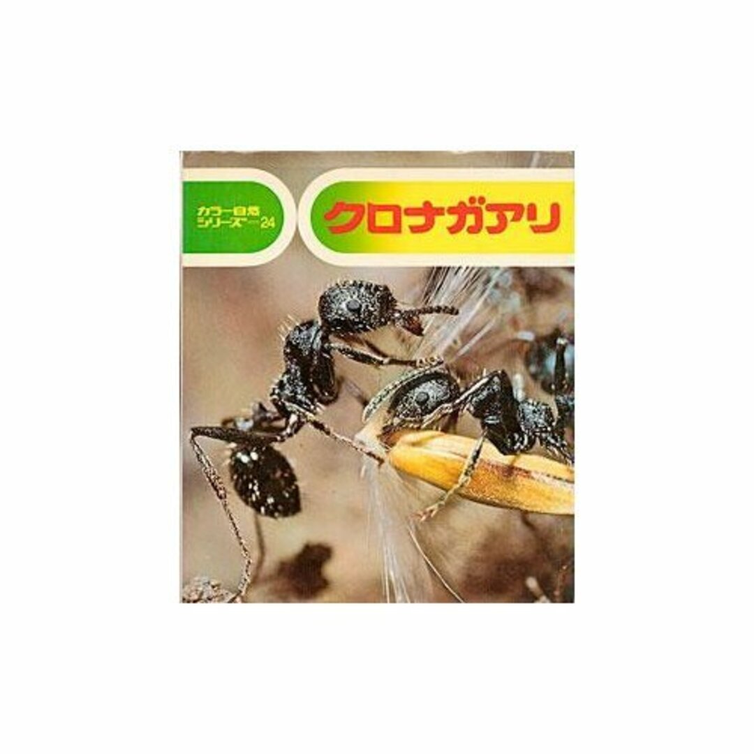 クロナガアリ (カラー自然シリーズ 24)／小田 英智 (著)、小田 英智 (解説)、久保 秀一 (写真)／偕成社