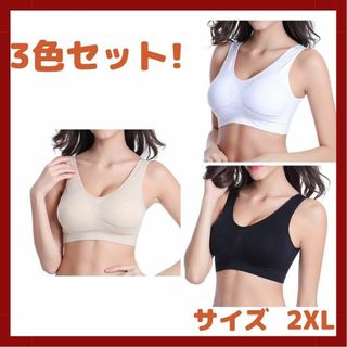 ジニエブラ風　シームレス　2XL　3色セット　ヨガブラ　スタイルアップ(ブラ)