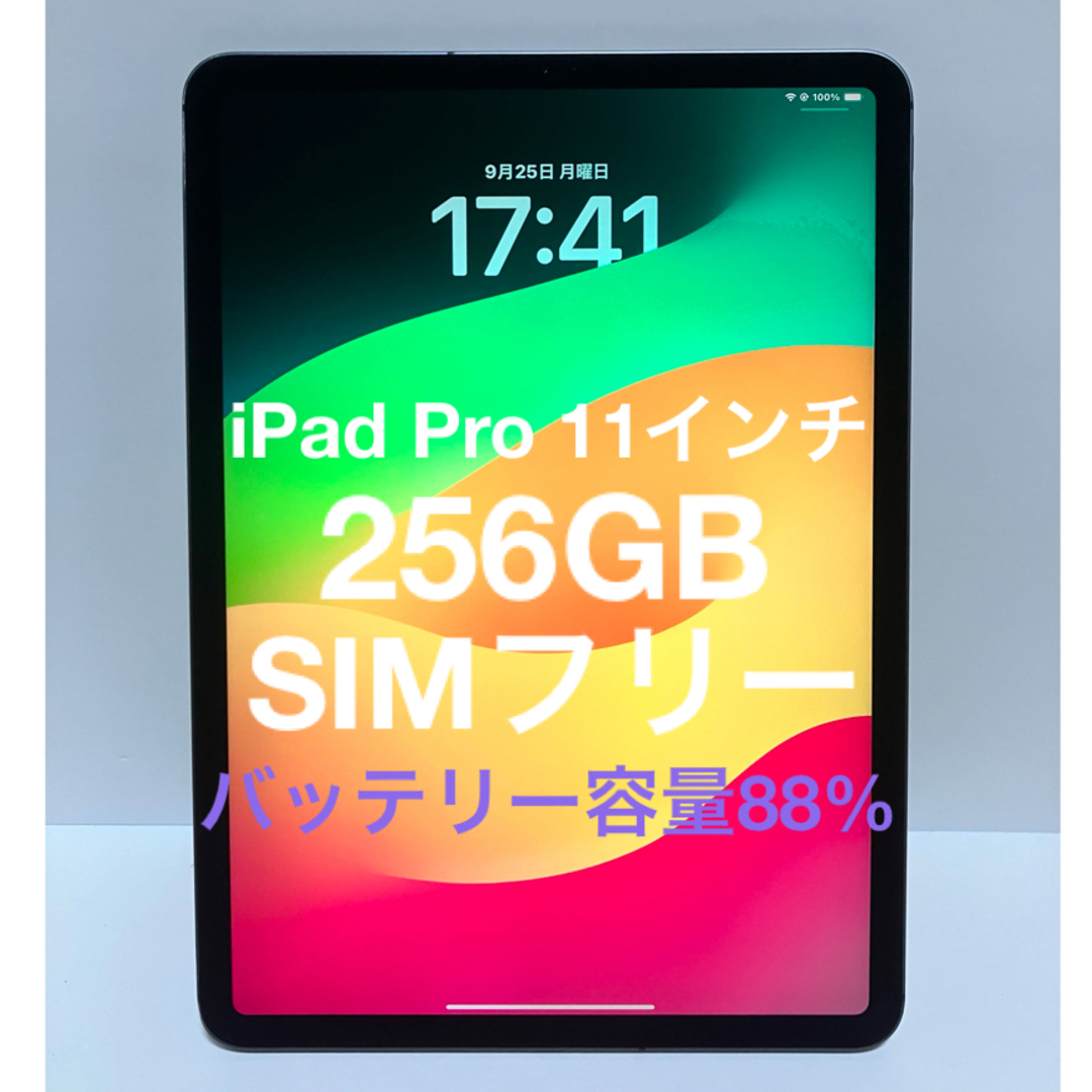 iPad - Apple iPad Pro 11インチ 第1世代 256GB SIMフリーの通販 by