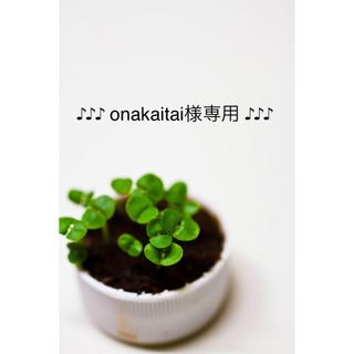 ♪♪onakaitai様専用 ♪♪【291】【669】布ナプキンセット(その他)