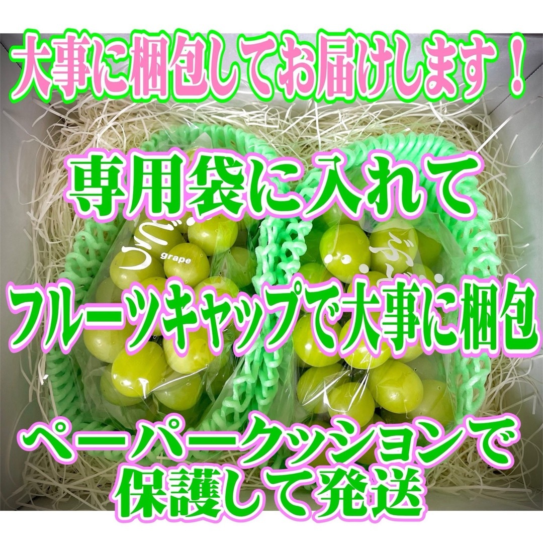 ちょっと訳ありの朝採り房つきシャインマスカット！その日のうちに発送します。 食品/飲料/酒の食品(フルーツ)の商品写真