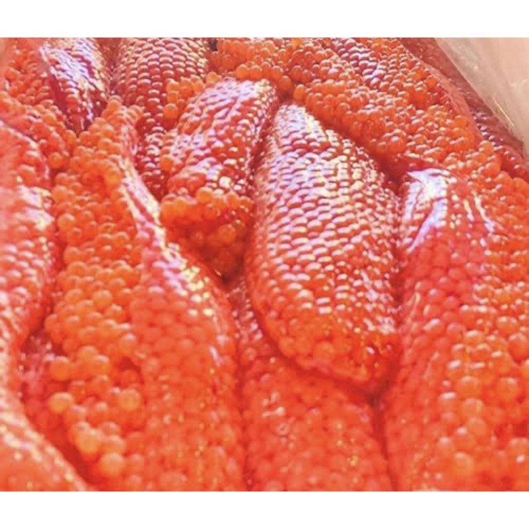 北海道産、鮭の生筋子、3キロ、鮭の生イクラ　魚介