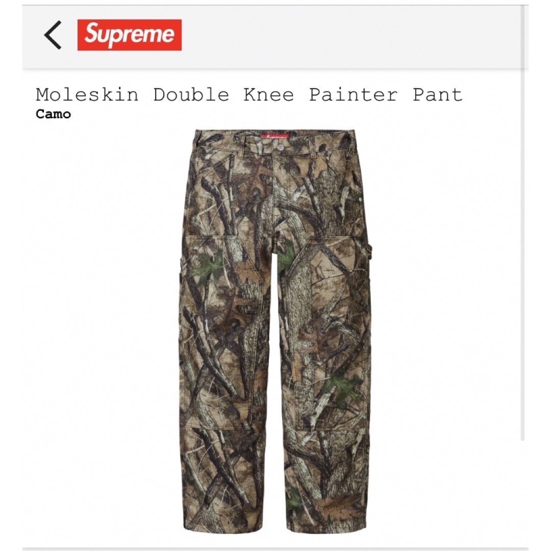 Supreme Double Knee Painter Pant 32